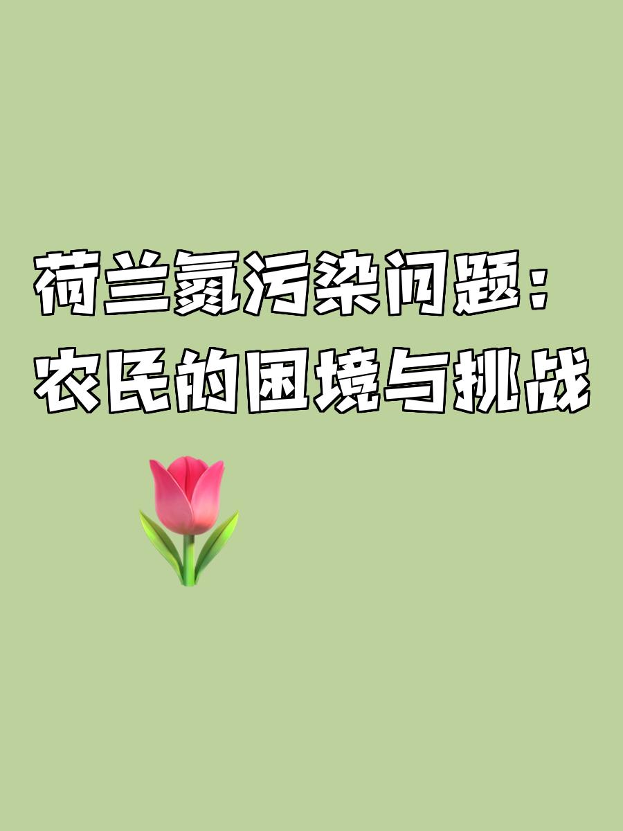 关于荷兰遭遇挑战，险胜爱尔兰保住领先优势的信息