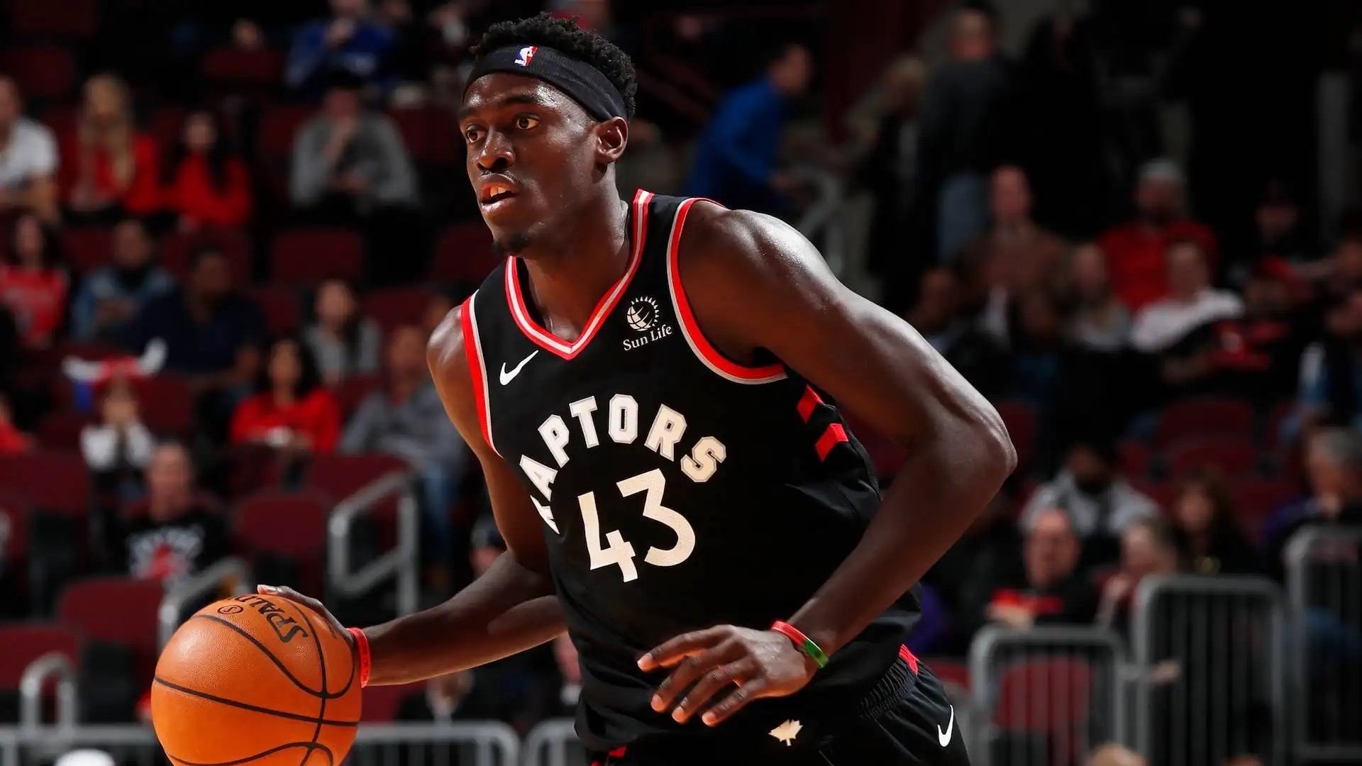 猛龙队全队发威，取得巨大胜利