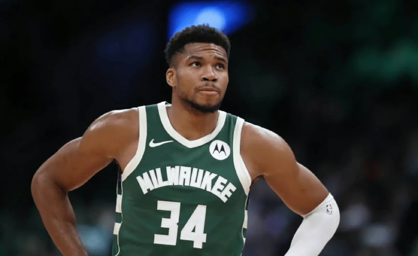 波兰男篮血洗加拿大男篮，字母哥爆发神勇的简单介绍